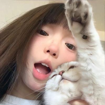 神秘破坏客
