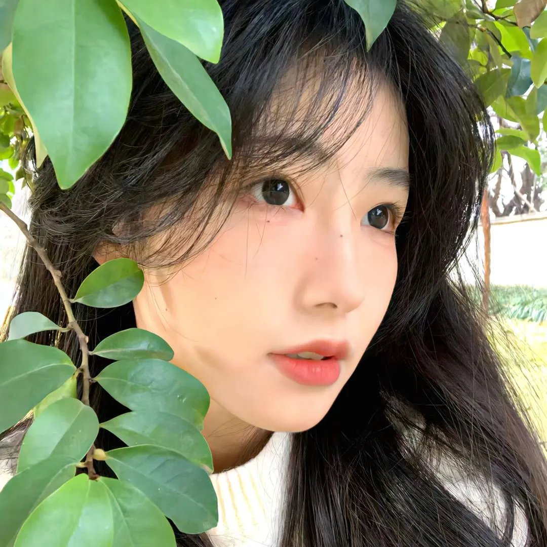 落花飘零